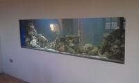 Custom aquariums and real wood cabinets