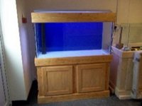 Custom aquariums and real wood cabinets