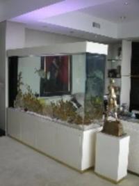 Custom aquariums and real wood cabinets