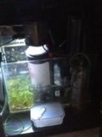 Full Marine Set-up