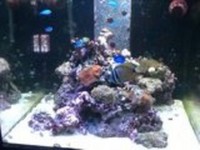 Full Marine Set-up