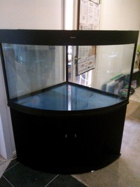 Maple Aquatics Dereham Norfolk