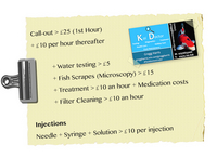 Professional Fish Care