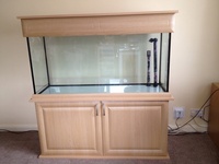 Large fish tank with veneer oak base and lid