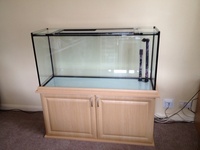 Large fish tank with veneer oak base and lid