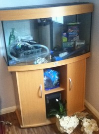 Juwel Vision 180 + Accessories + External Filter