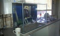 custom made marine set up