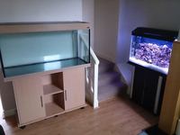 custom made marine set up