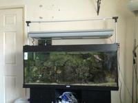 marine fish tank for sale