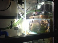 Aqua one aqua reef 400 complete marine setup worth over £3400