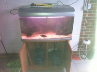 Aqua one 980 with cabinet and 2 Aqua one cf1000 externals - £200