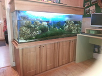 5ft Cabinet fish tank for sale complete set up