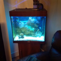 Juwel 120 lido tank