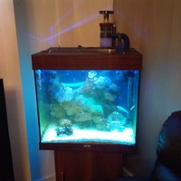 Juwel 120 lido tank