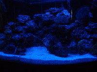 Custom LED light arrays