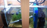 Large (6ft) custom built tank, sump, cabinet and lights (empty)