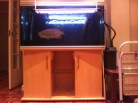 Rena Aquarium 4ft 360litres + Fluval 304 filter REDUCED