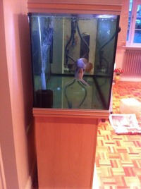 Rena Aquarium 4ft 360litres + Fluval 304 filter REDUCED