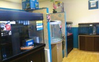New Aquariums Instock at Ferrybridge Aquatics 16/11/2013