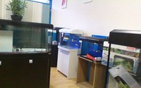 New Aquariums Instock at Ferrybridge Aquatics 16/11/2013