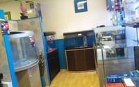 New Aquariums Instock at Ferrybridge Aquatics 16/11/2013