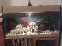 (180L) 3ft AQUA ONE Tropical Fish Tank, External Filter, And Loads, Loads More