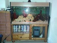 (180L) 3ft AQUA ONE Tropical Fish Tank, External Filter, And Loads, Loads More