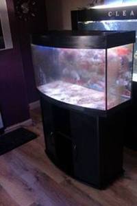 Juwel Vision 180 Aquarium with stand in black
