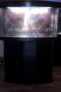 Juwel Vision 180 Aquarium with stand in black