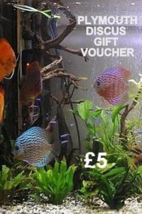 Gift Voucher Idea for the discus fish fanatic from Plymouth Discus Any Value.