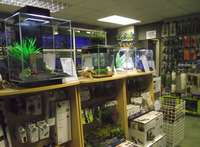 Bradshaws Direct - York: Freshwater Tropical and Coldwater Community Fish