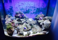 Full Marine Set Up