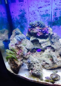 Full Marine Set Up