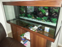 5ft Fish Tank and Stand. JUWEL 450