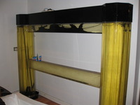 Aquarium for Sale