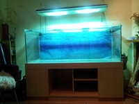 AQUA ONE MG1200 METAL HALIDE PENDANT LIGHTS £220