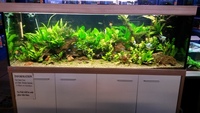 Horsham Water Gardens - Cold water and Tropical fish and Dry goods