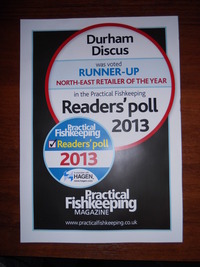 :: SIMPLY THE BEST NORTH EAST DISCUS:: DURHAM DISCUS