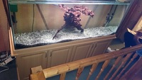 5foot x 2foot x 18 inch custom made aquarium with very nice beach cabinet and hood (made by maidenhe