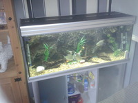 REDUCED 190.00 ONO 4ft fish tank