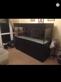 6x2x2 Custom Built Optiwhite tank, Cabinet, Filters, Heaters, Light