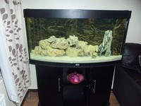 juwel vision 260