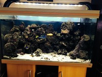 Marine tank break down