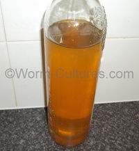 Vinegar Eel Starter Culture ~ Live Food