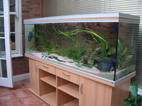 Rena Fish Tank For Sale. £800.