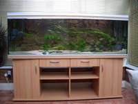 Rena Fish Tank For Sale. £800.