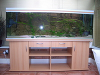 Rena Fish Tank For Sale. £800.
