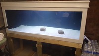 6x3x2 FISH TANK/AQUARIUM EVERYTHING NEEDED 1150LITRES LARGE