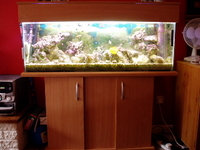 Full marine setup