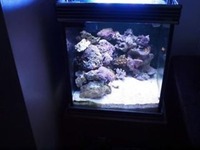 Aqua one cube tank/aquarium